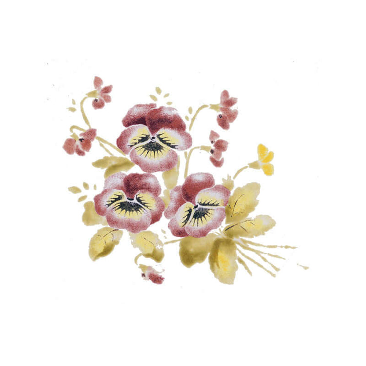 Pansy